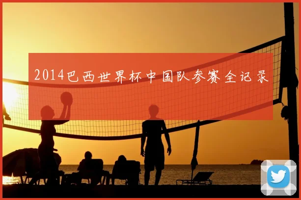 2014巴西世界杯中国队参赛全记录