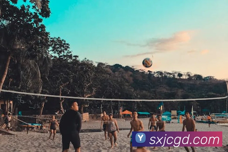 投注app官网APP 封面图